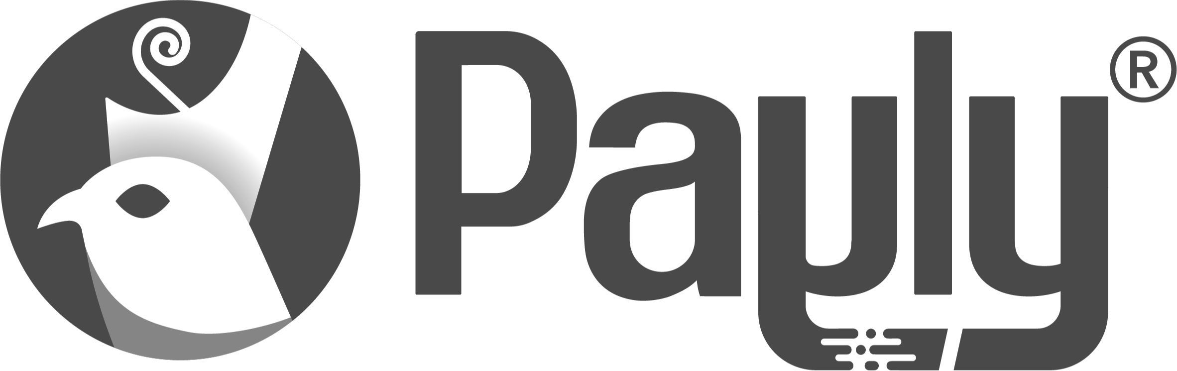 Payly Logo Final-02 (3)-modified